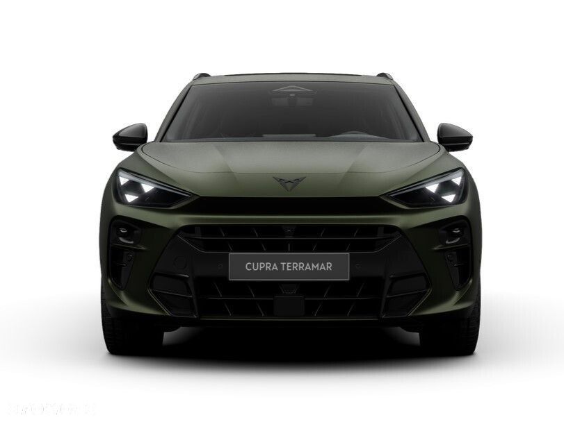 Cupra Terramar 2.0 TSI 4Drive Tribe Edition DSG - 6