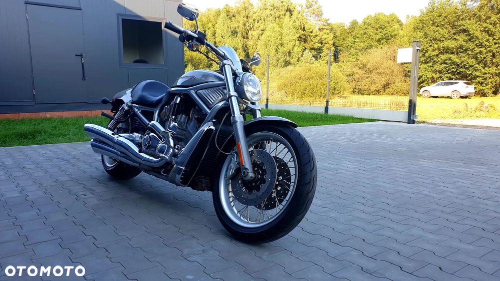 Harley-Davidson Softail V-Rod - 6
