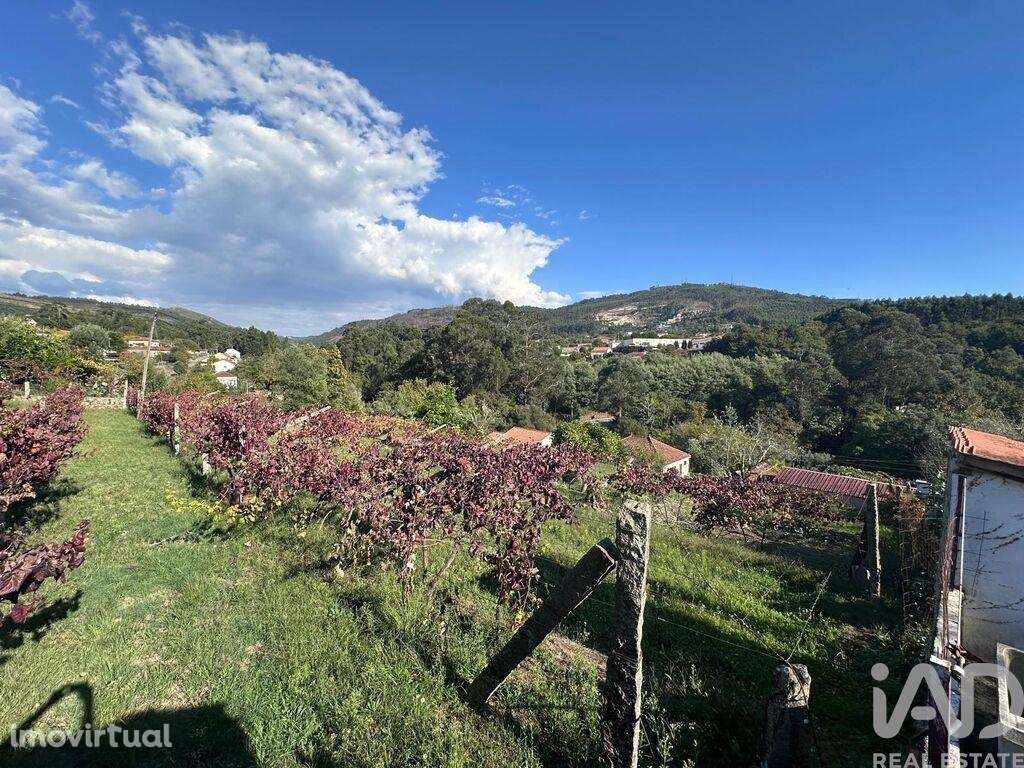 Terreno Agrícola em Fornelos e Queijada - Grande imagem: 3/10