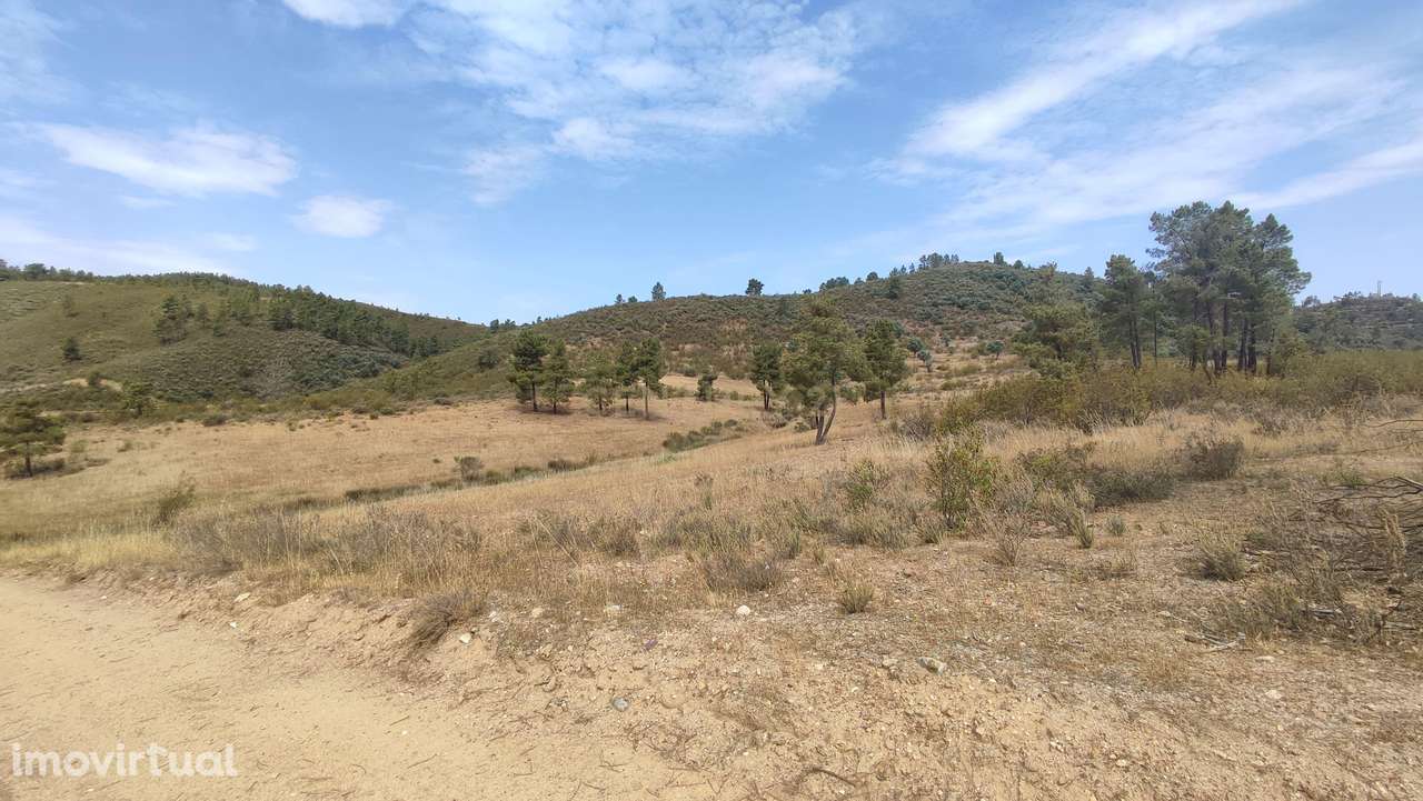 Terreno Rústico com 3,2 ha, Cebolais de Cima - Grande imagem: 4/6