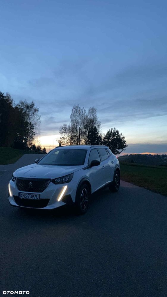 Peugeot 2008 - 5