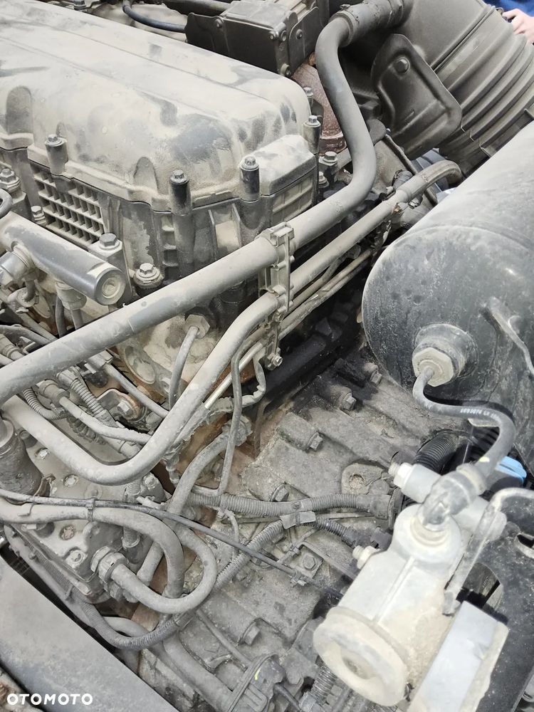 DAF DAF XF 460 Super Space Cab Low Deck Mega - 10