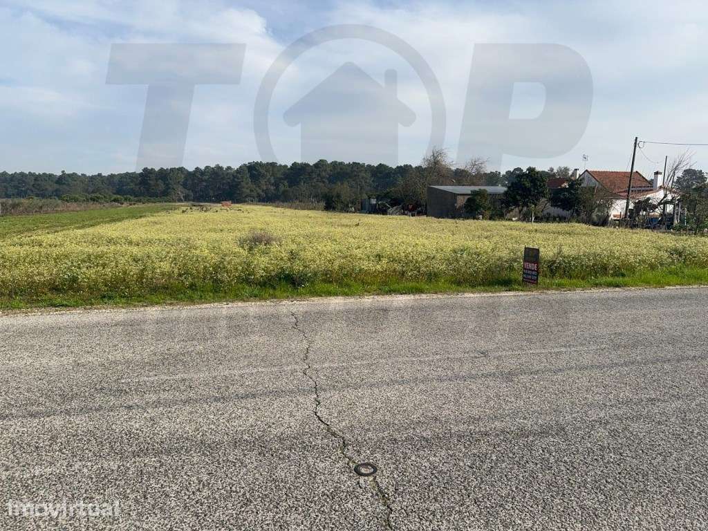 Terreno Construção - Foros de Salvaterra - 6040 M2 - 31 Mts de Fren... - Grande imagem: 3/7