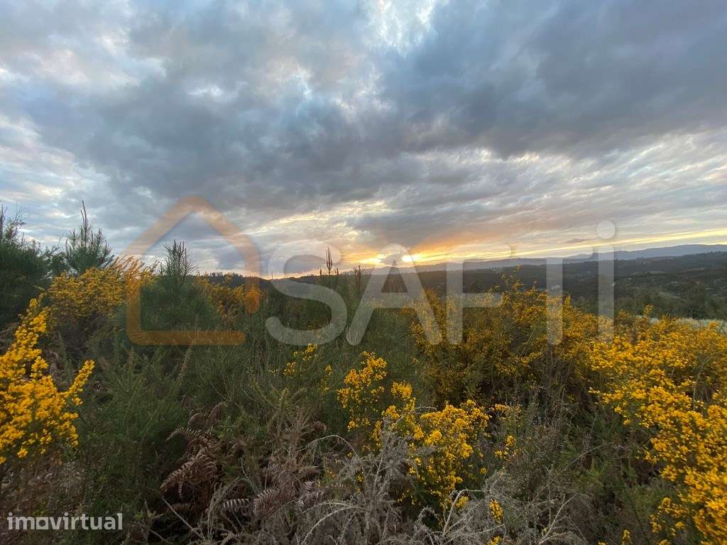 Vende Terreno na EM 624 2910 m2 45 000€ Lajeosa Tondela - Grande imagem: 2/12