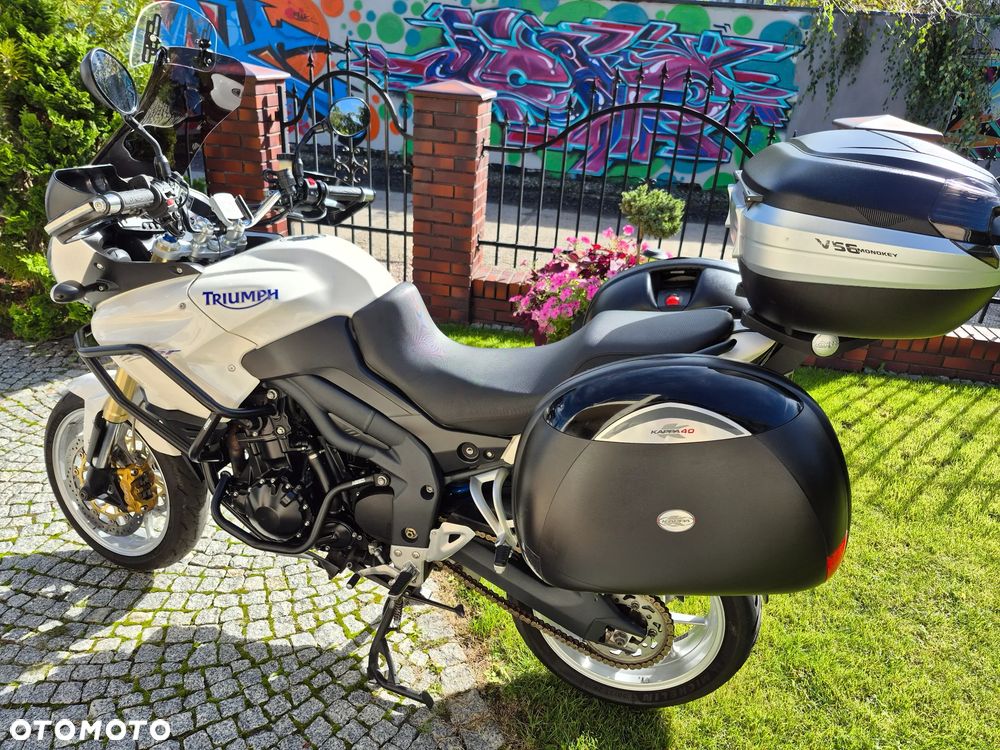 Triumph Tiger - 17
