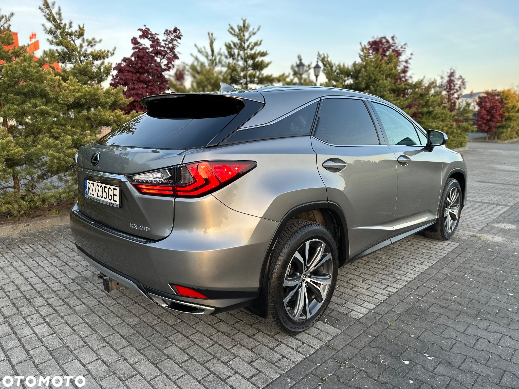 Lexus RX - 3