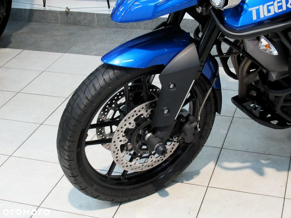 Triumph Tiger - 11