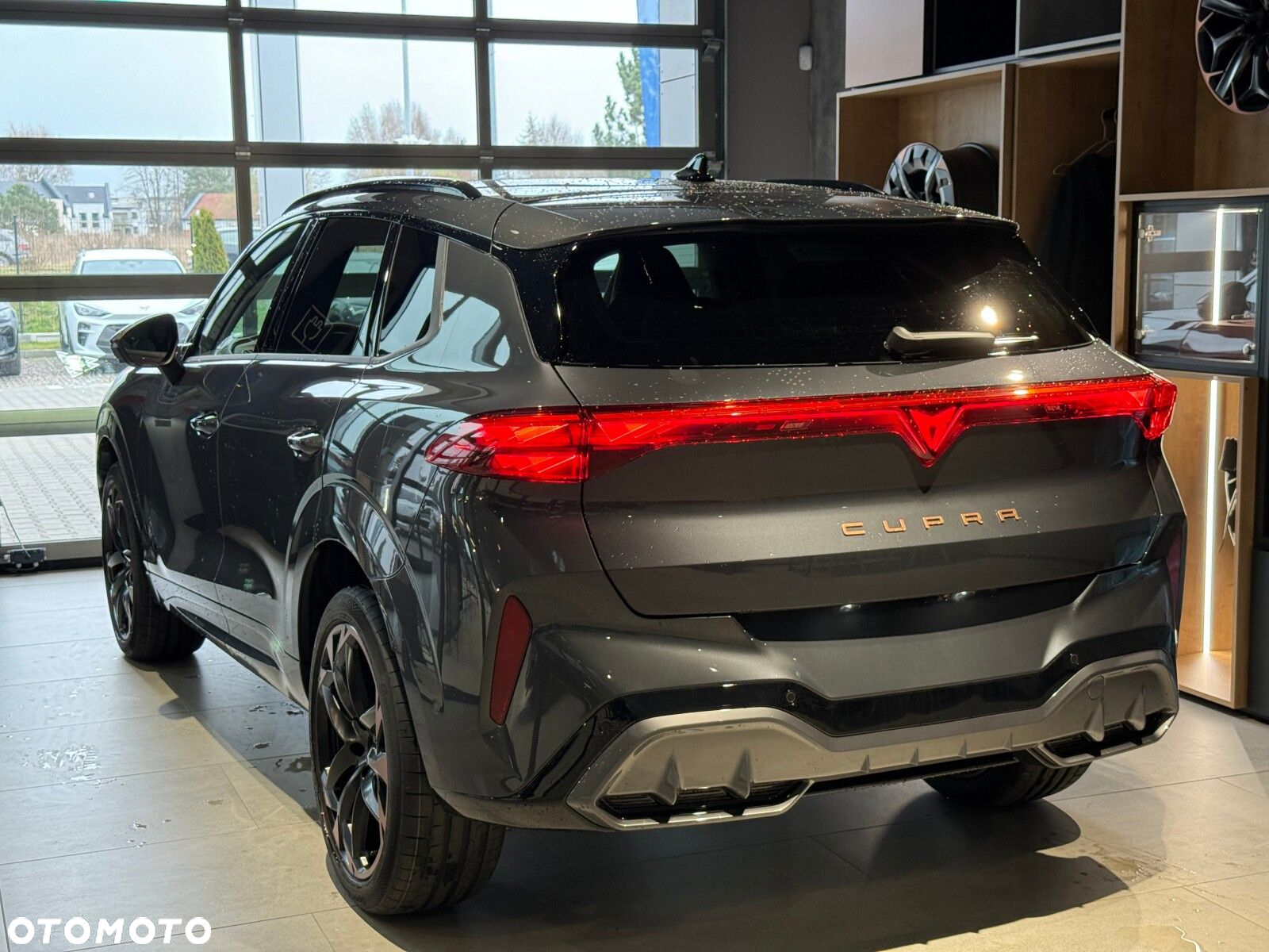Cupra Terramar - 14