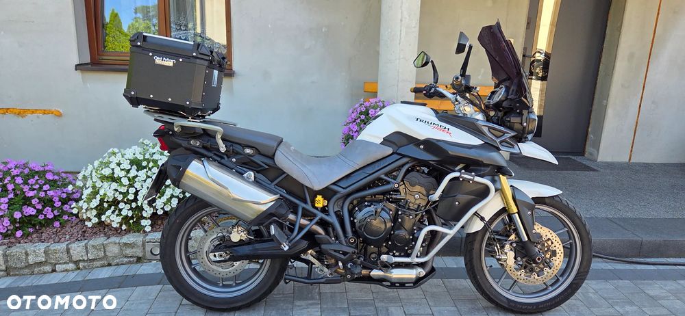 Triumph Tiger - 6
