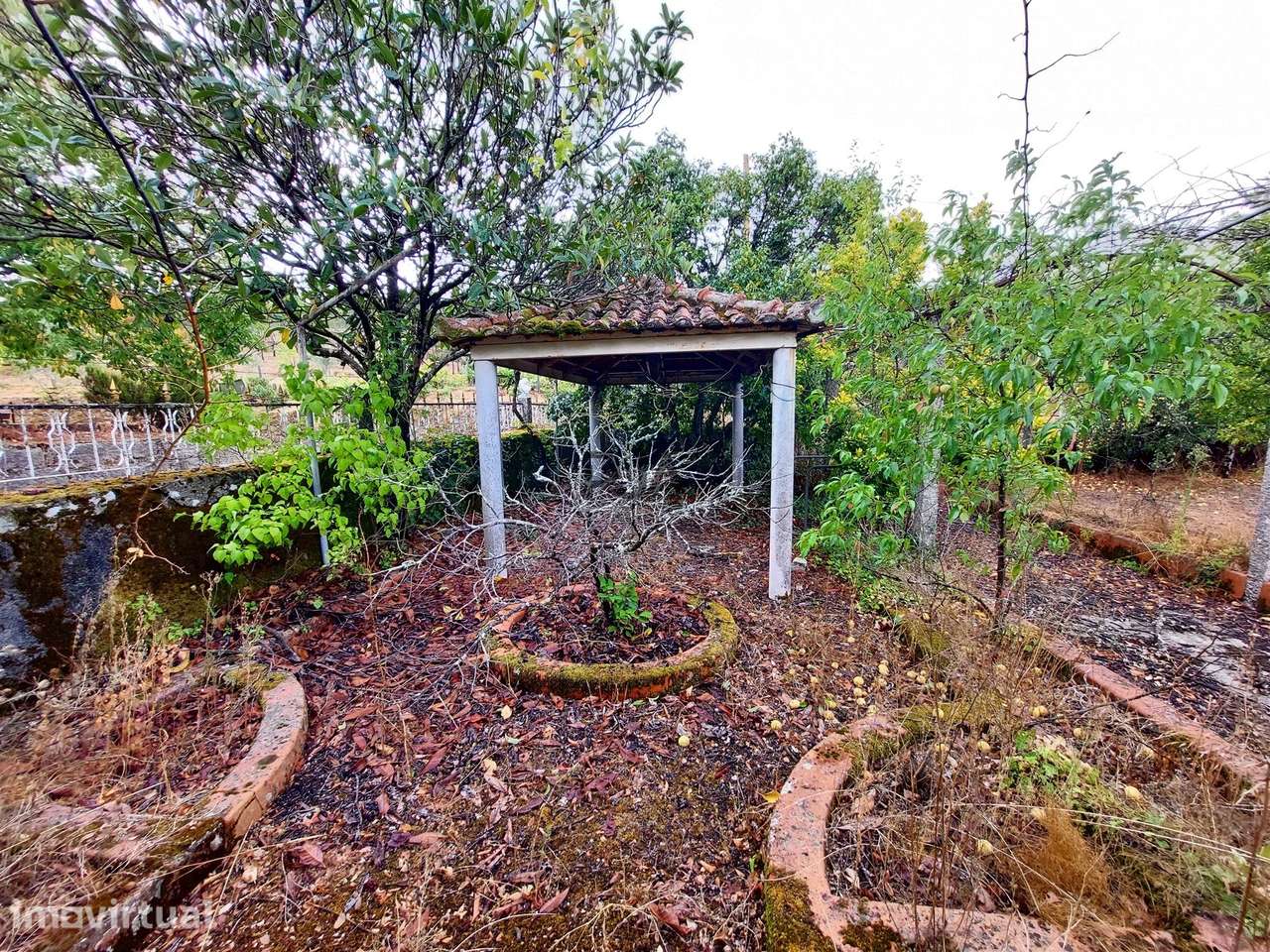 Terreno com Viabilidade de construção em Aldeia de Soito de Vide, Pena - Grande imagem: 5/11