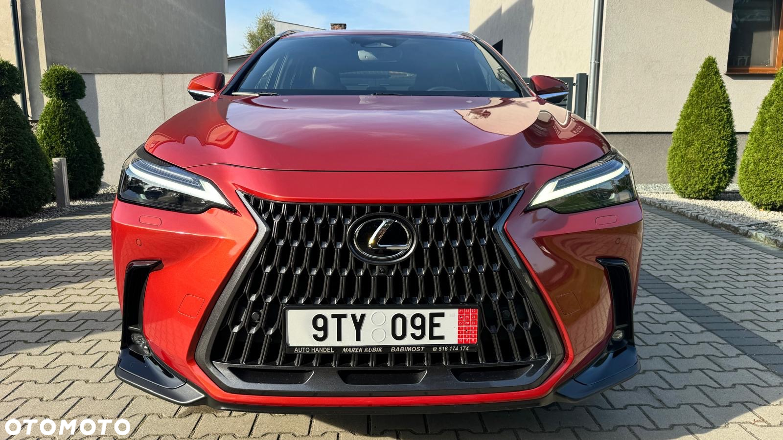 Lexus NX - 10