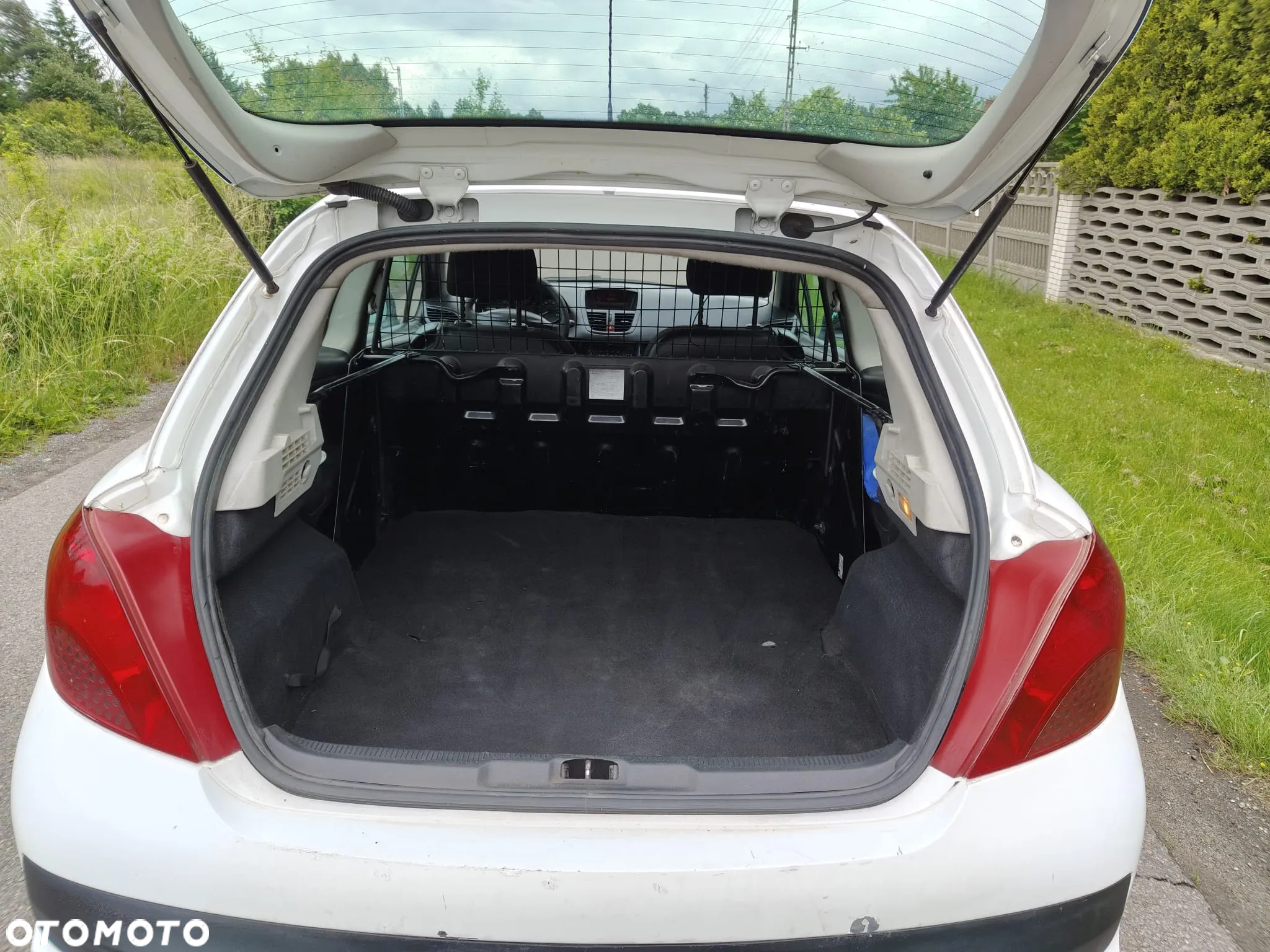 Peugeot 207 - 13