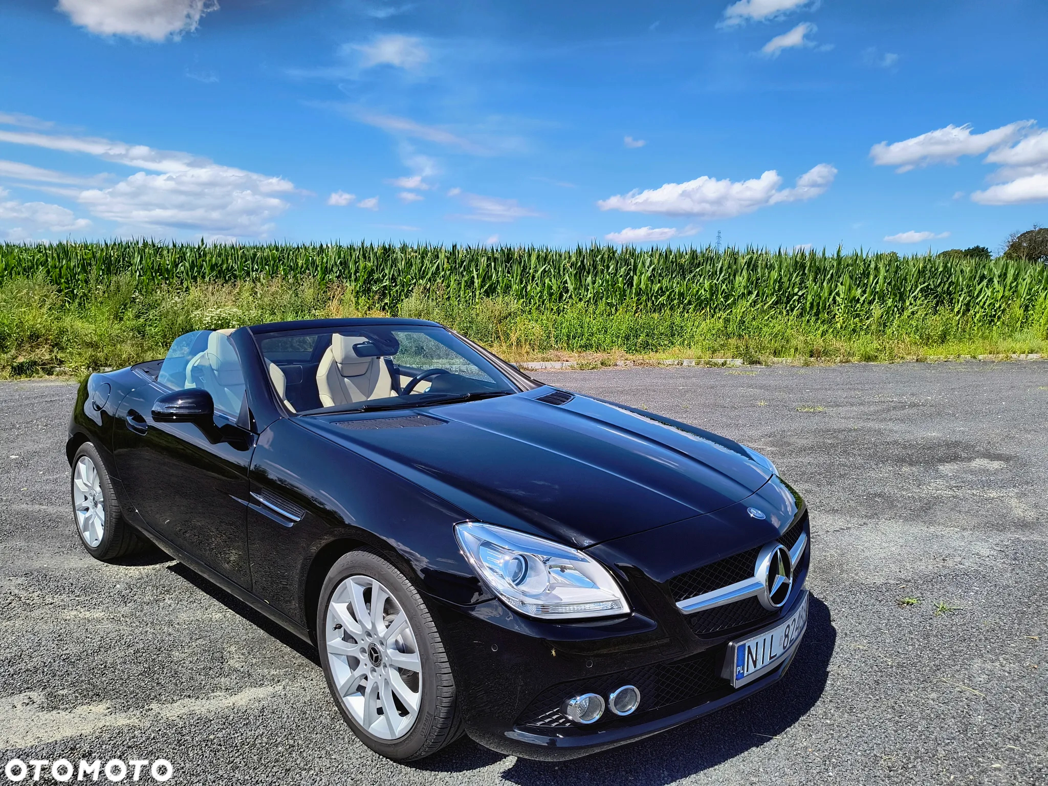 Mercedes-Benz SLK - 17