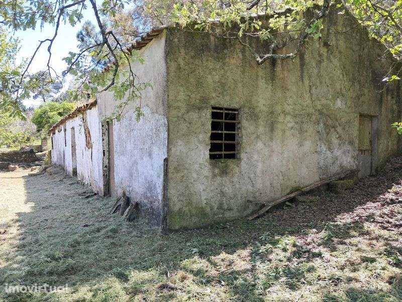 Quinta em São Salvador da Aramenha Marvão Portalegre Alto Alentejo - Grande imagem: 3/11