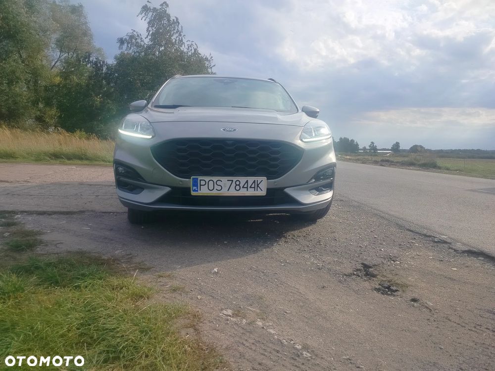 Ford Kuga 2.5 Duratec FHEV ST-LINE - 15