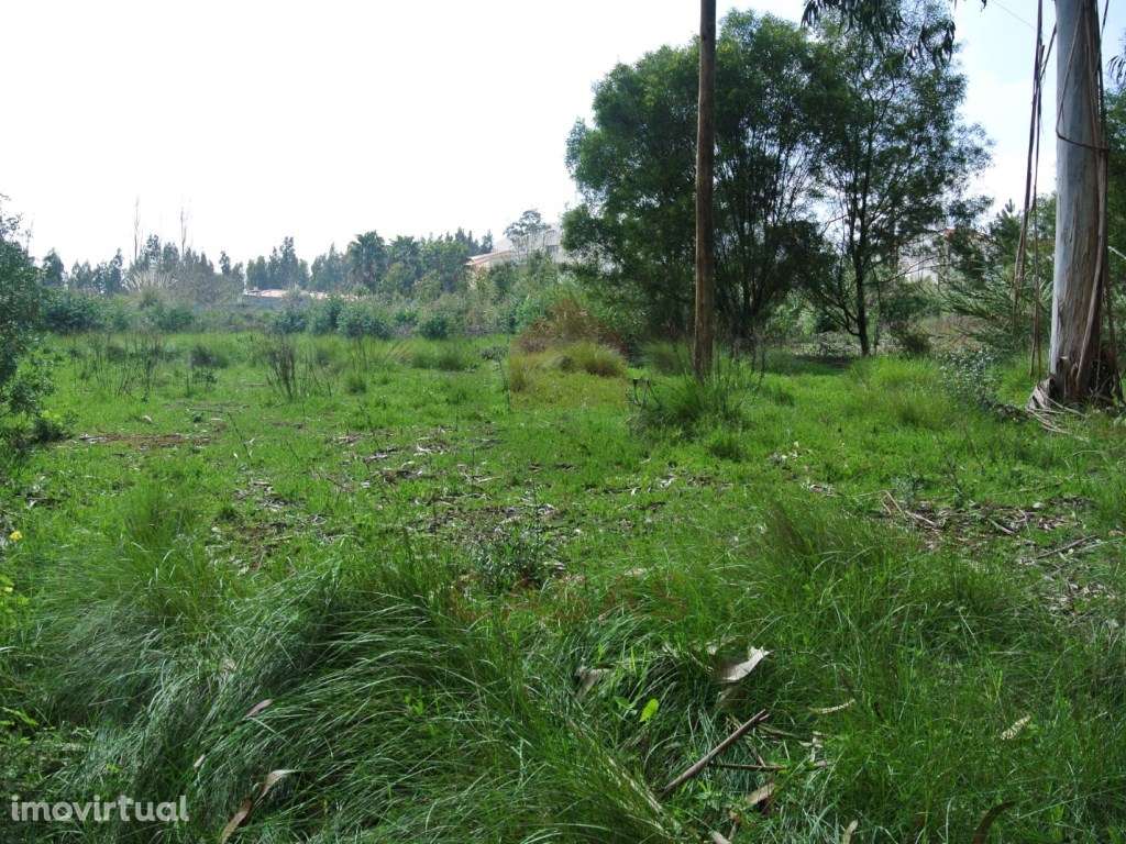 Terreno para construção no Nadadouro - Grande imagem: 3/15