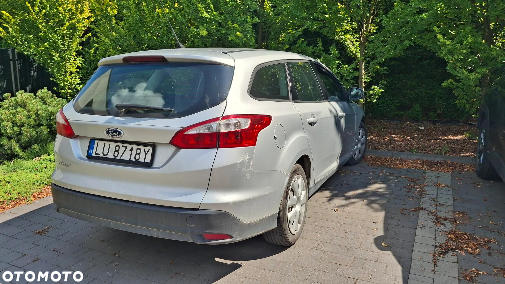 Ford Focus - 7