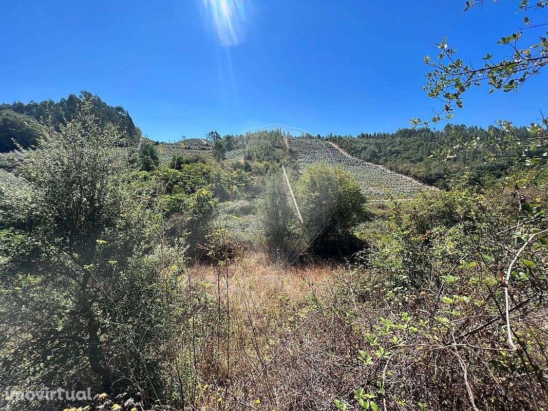 Quinta  para venda - Grande imagem: 4/5