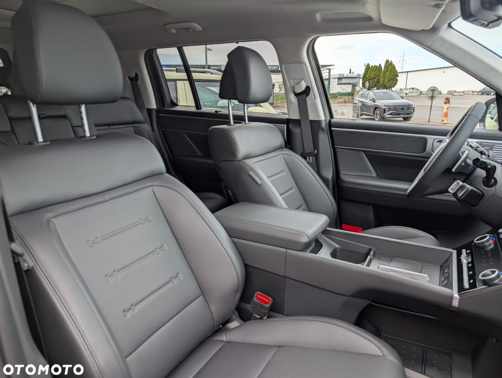 Hyundai Santa Fe - 17