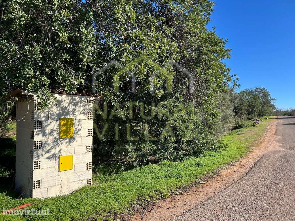 Terreno Rústico de Vistas Panorâmicas - Alte - Grande imagem: 2/5