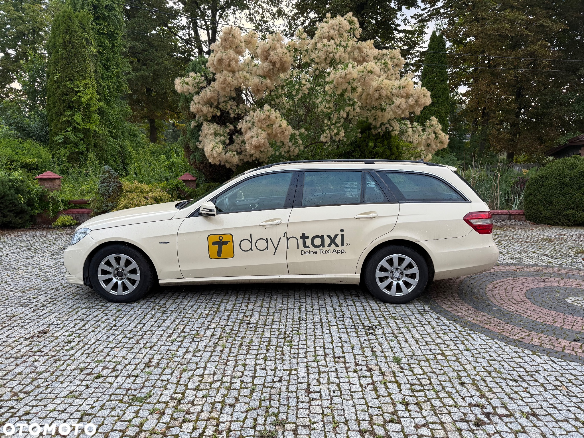 Mercedes-Benz Klasa E 200 T CDI DPF BlueEFFICIENCY Automatik - 3