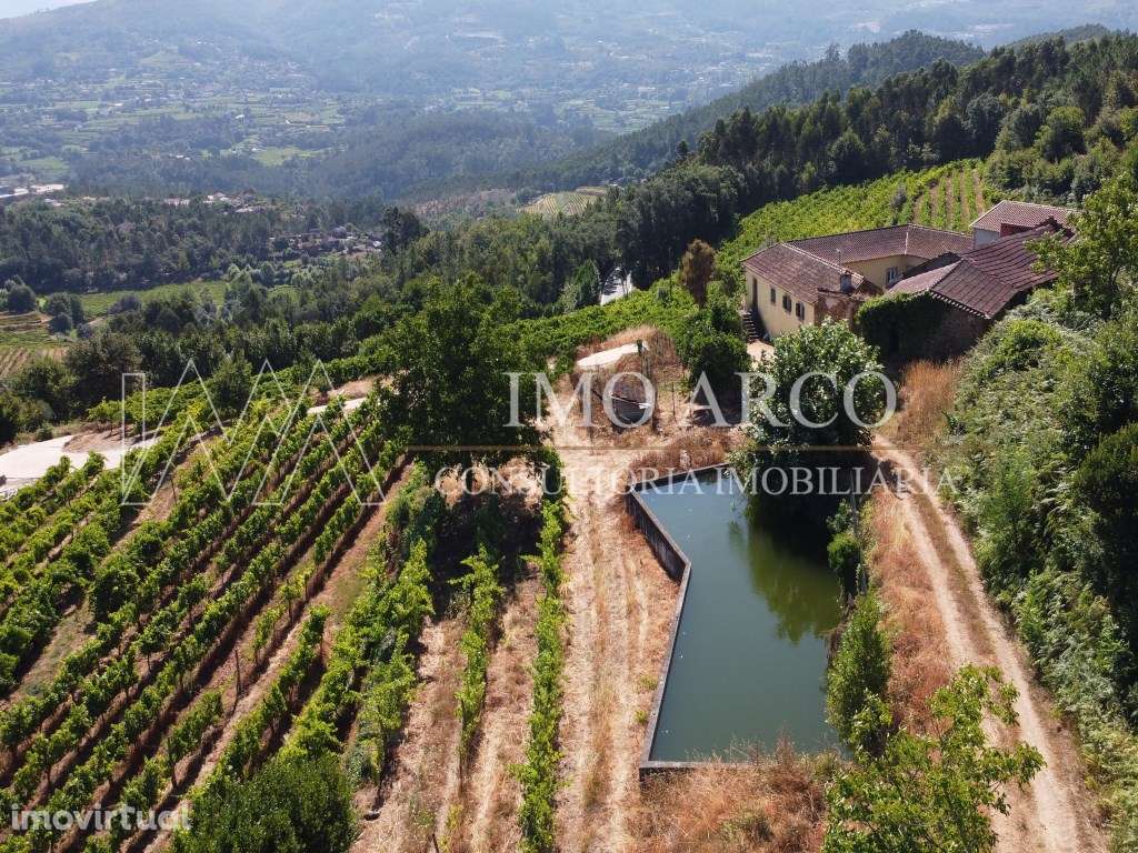 Vila Nune, CRUJEIRA - Grande imagem: 2/30