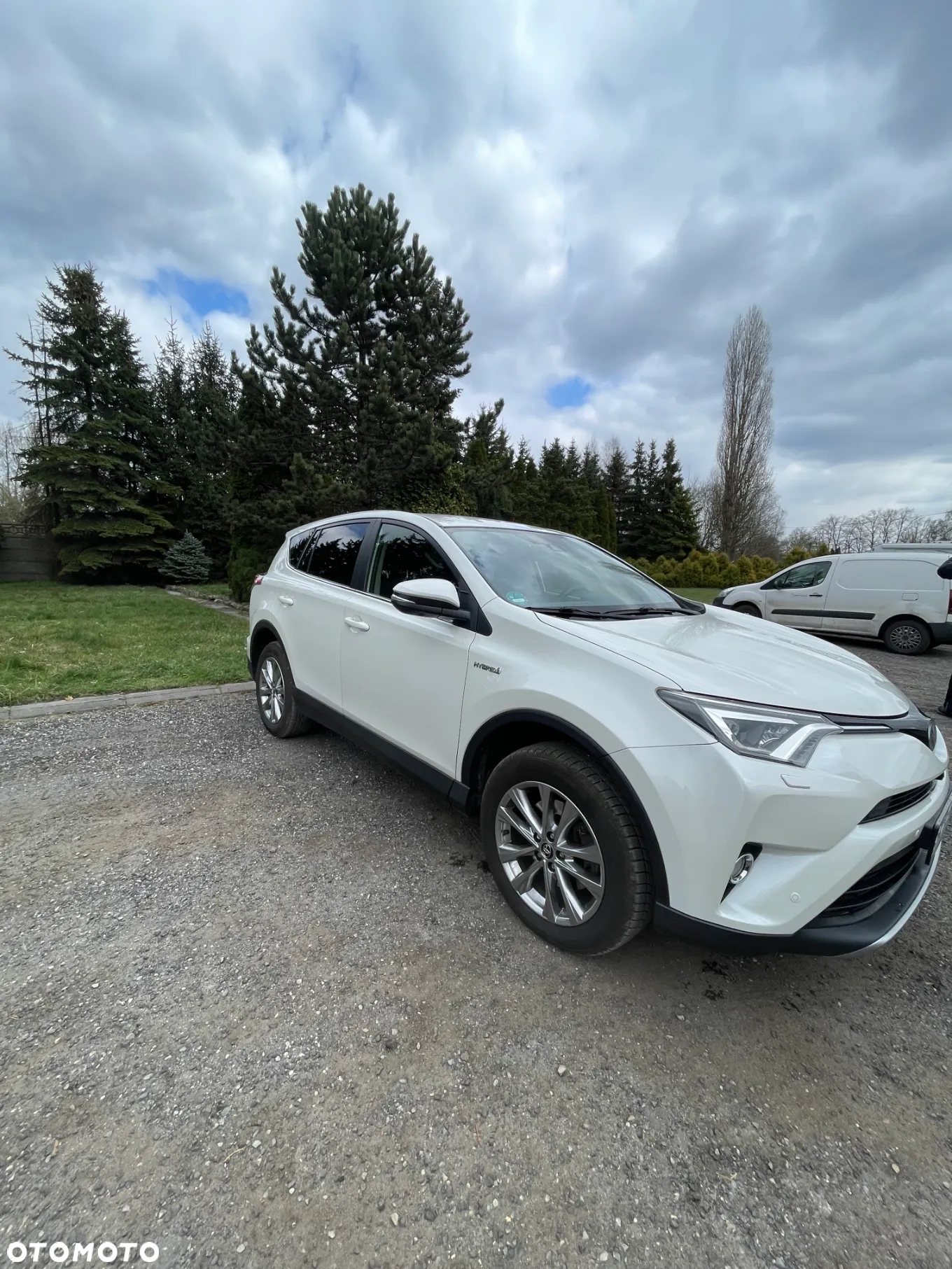 Toyota RAV4 2.5 4x2 Hybrid Comfort - 2