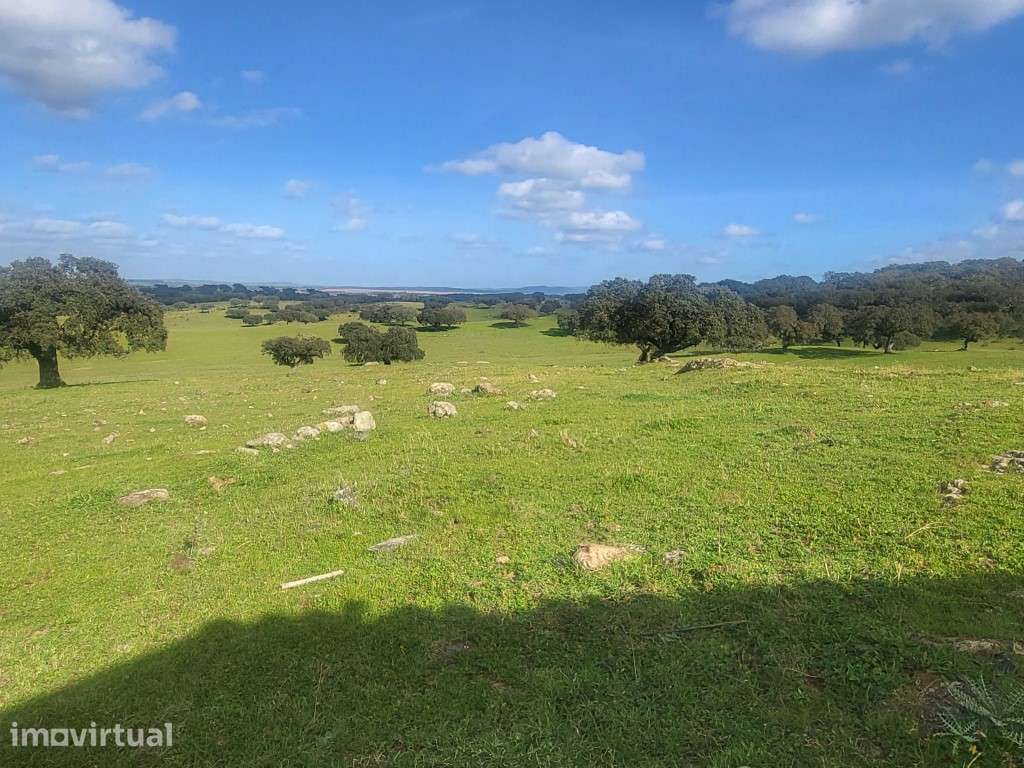 Herdade com108 ha e Monte para reconstruir Com 245 m2 - Grande imagem: 5/35