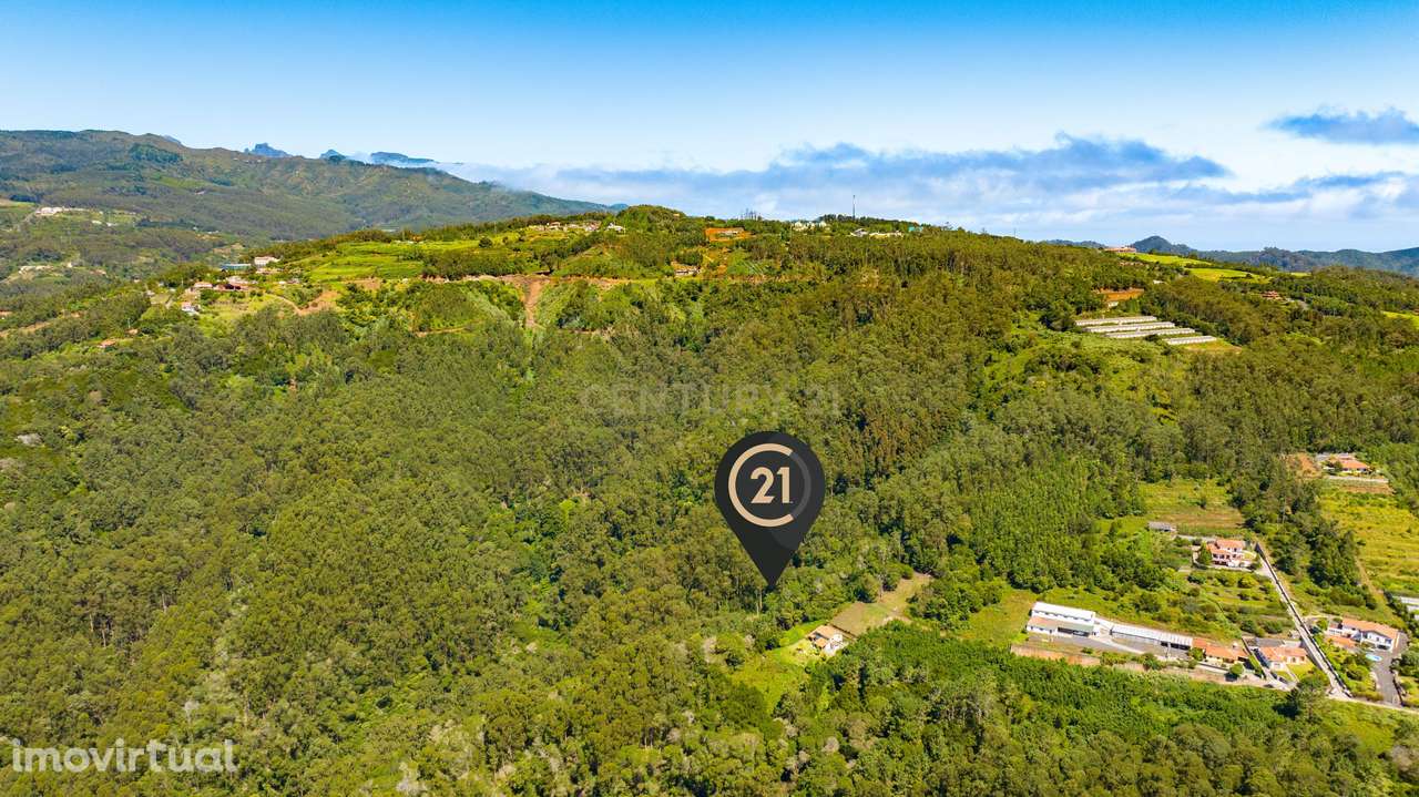 Terreno Rústico para Floresta Mista com 3.265 m2 - Santa Cruz, Madeira - Grande imagem: 4/12