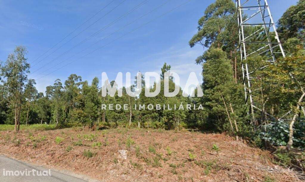 Terreno com 4200m2 em Guetim - Espinho - Grande imagem: 3/3