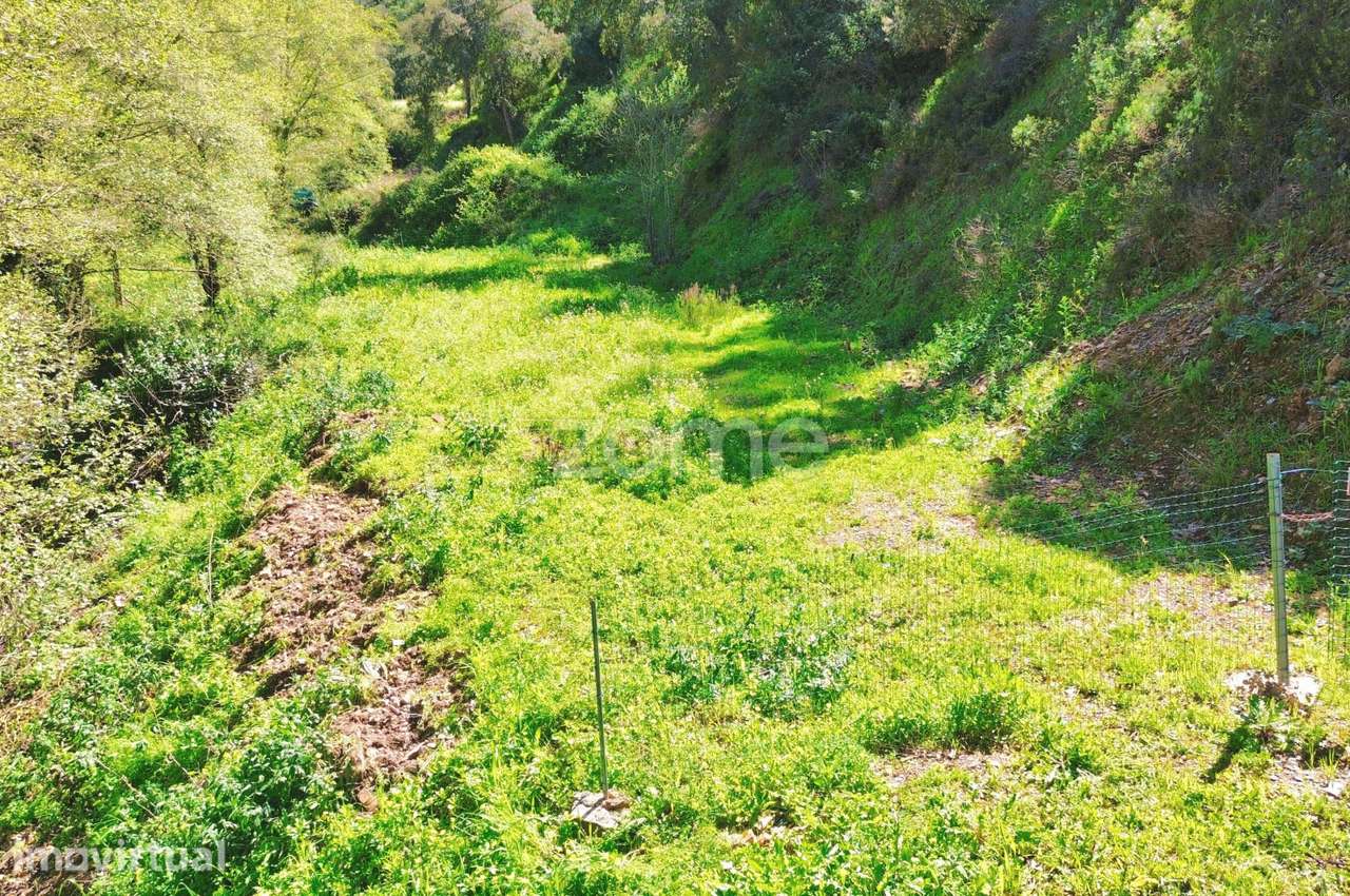 Terreno Rústico com 2000m2 - Monchique - Grande imagem: 3/33