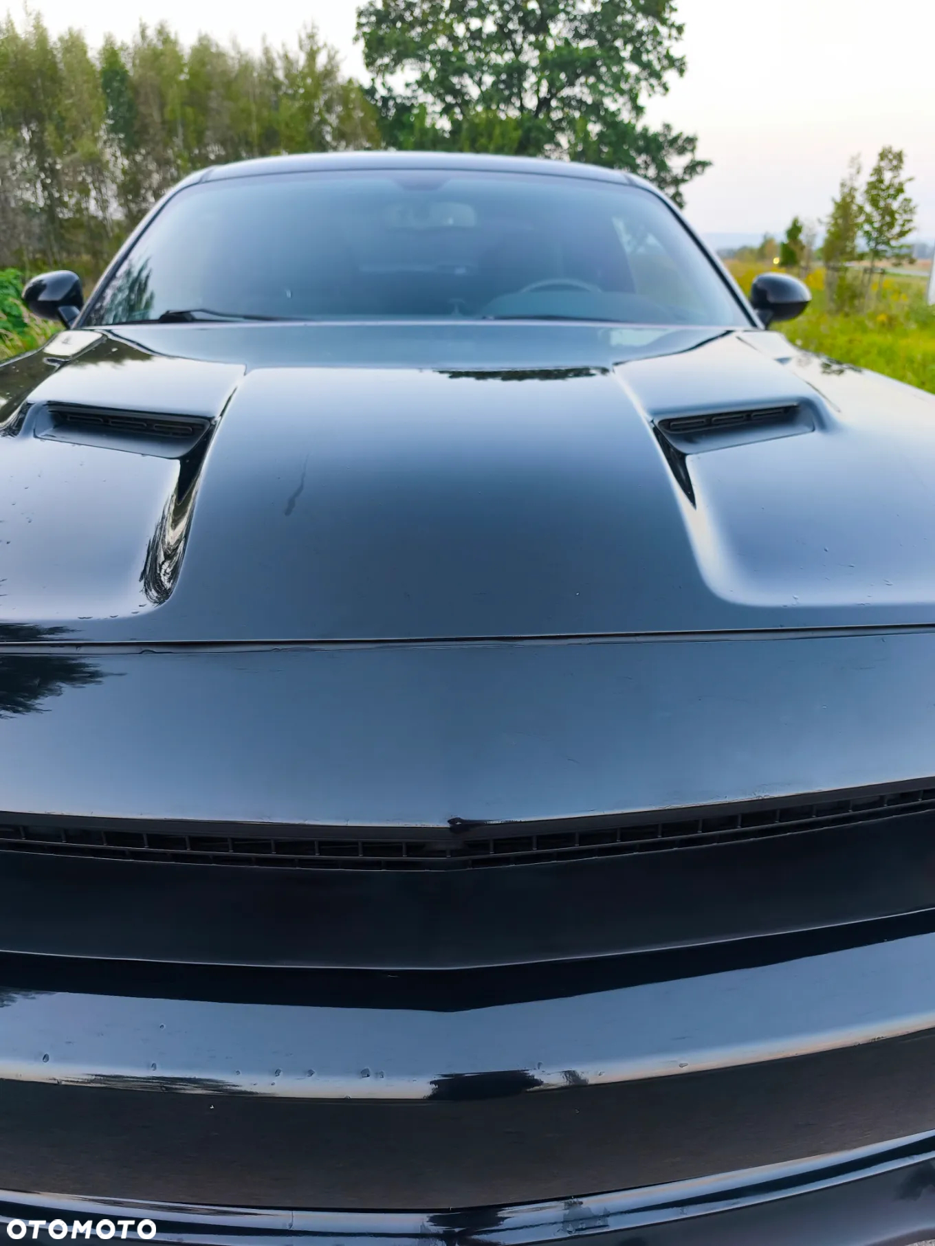Dodge Challenger - 22