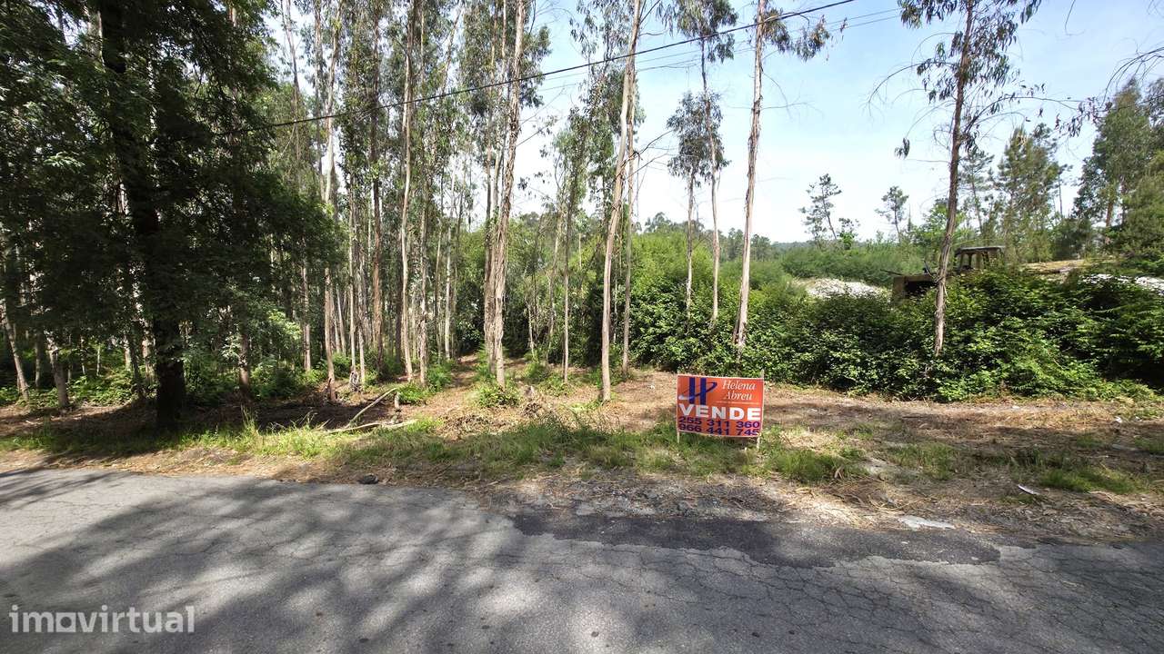 Terreno p/ construção Fervença, Celorico de Basto - Grande imagem: 3/5