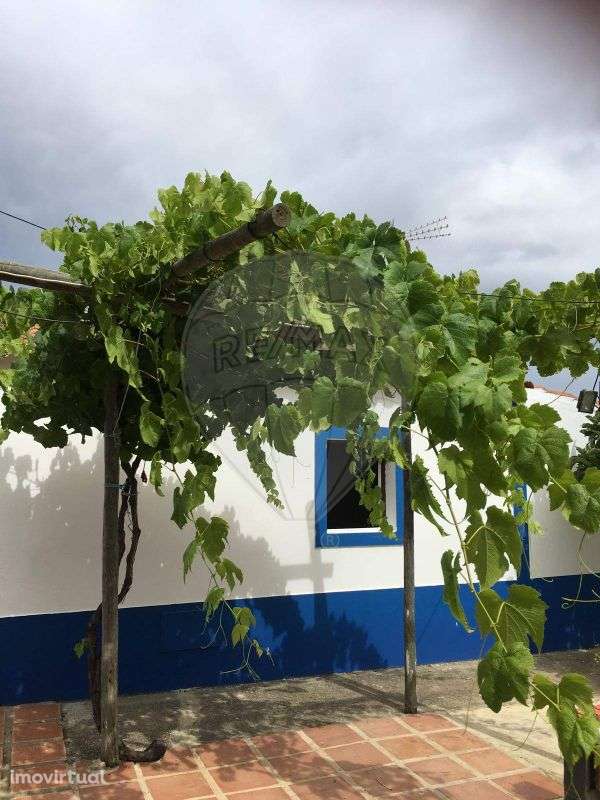 Quinta T3 para venda - Grande imagem: 2/26