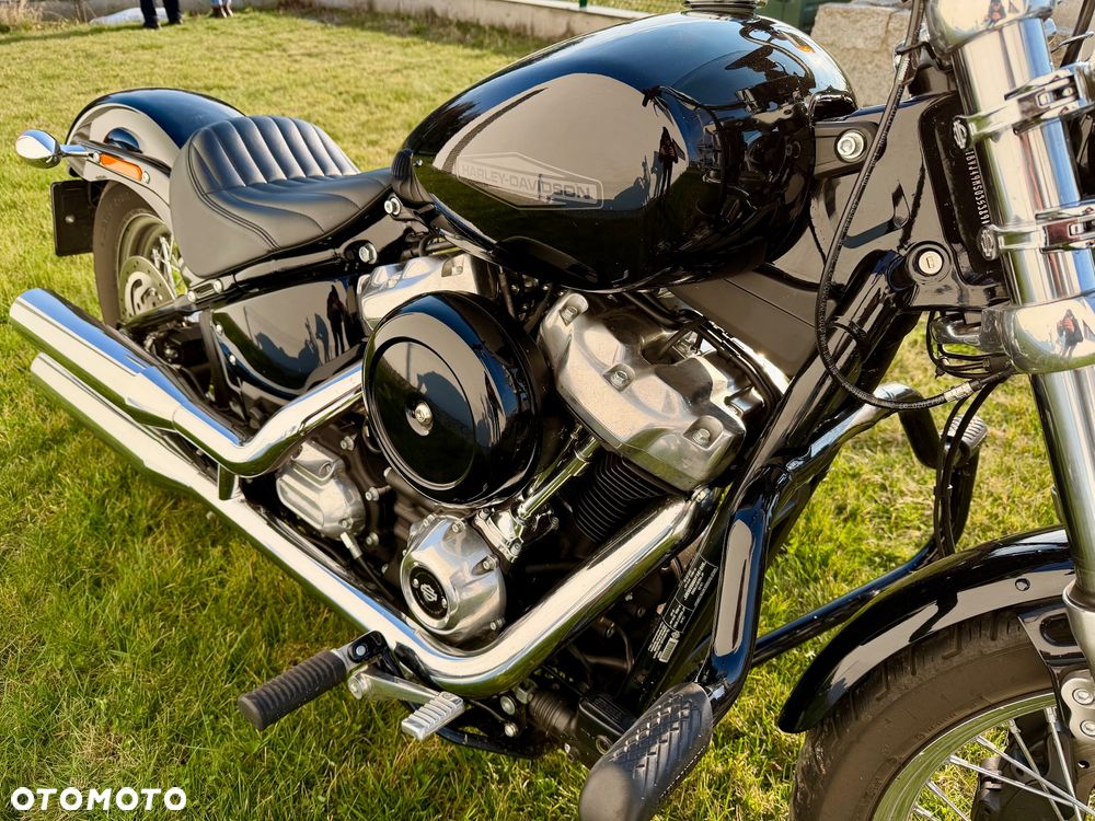 Harley-Davidson Softail Standard - 4