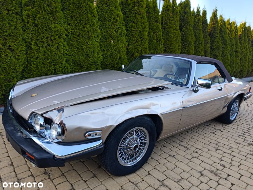 Jaguar XJS - 15
