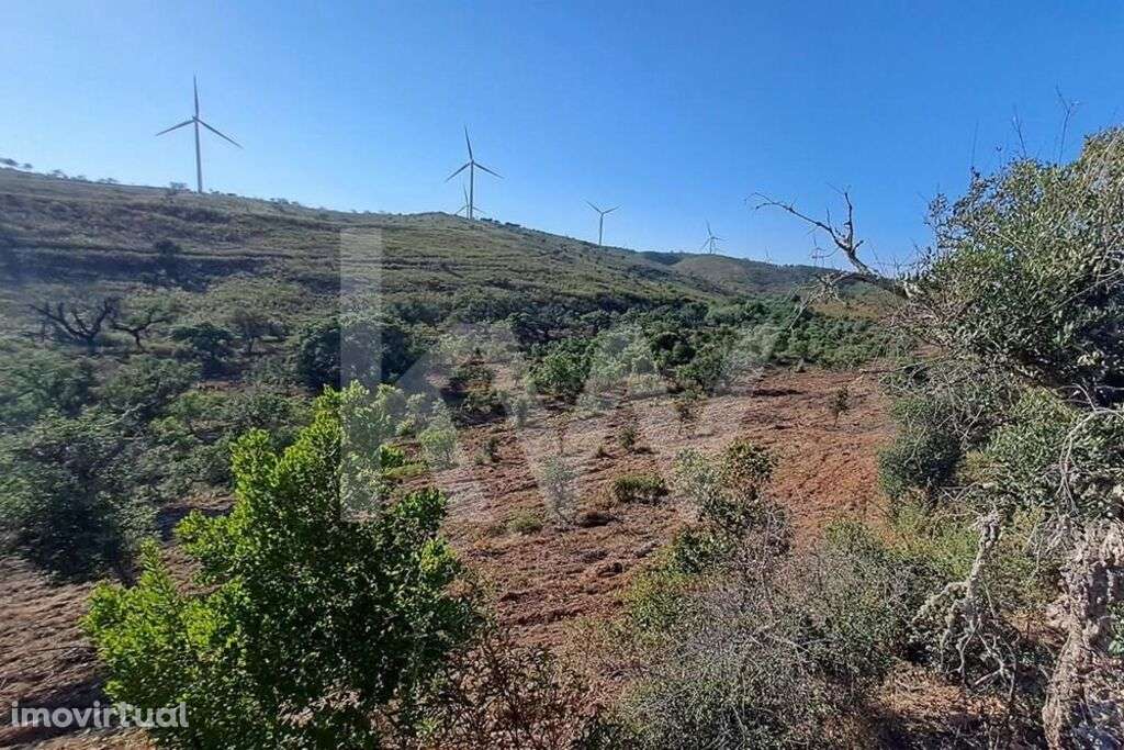 Terreno Rústico com Barragem e 63ha sito na Vinha Velha - Grande imagem: 3/7