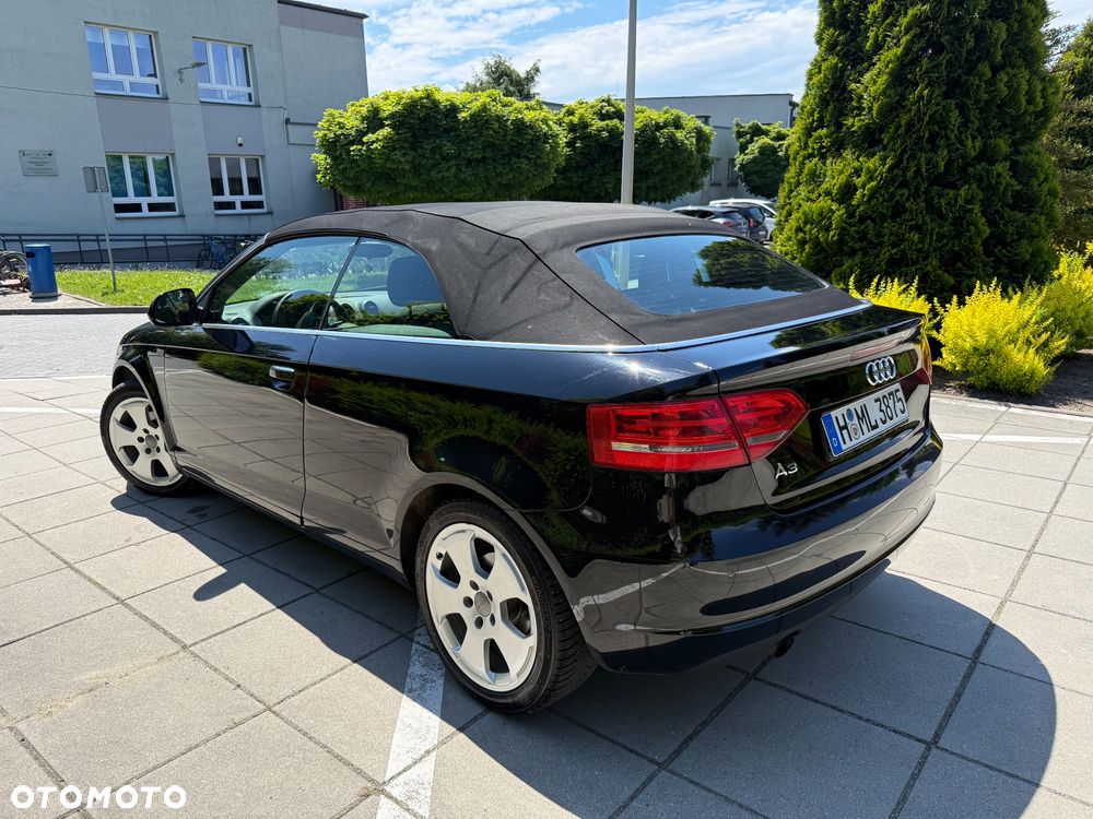 Audi A3 Cabrio 1.6 Ambition - 13