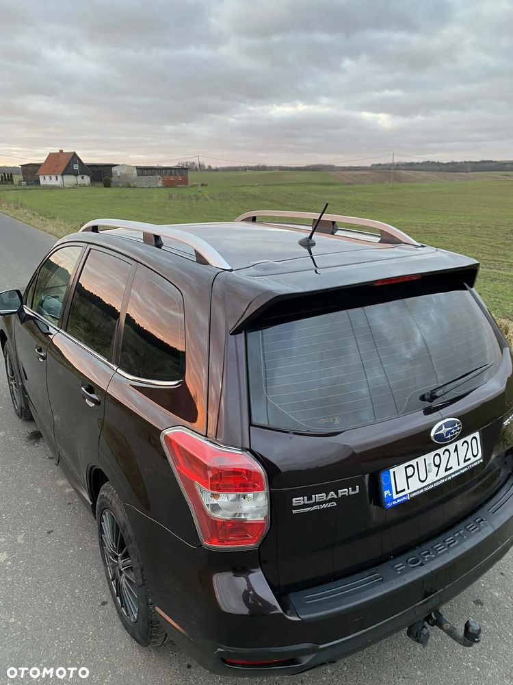 Subaru Forester - 17