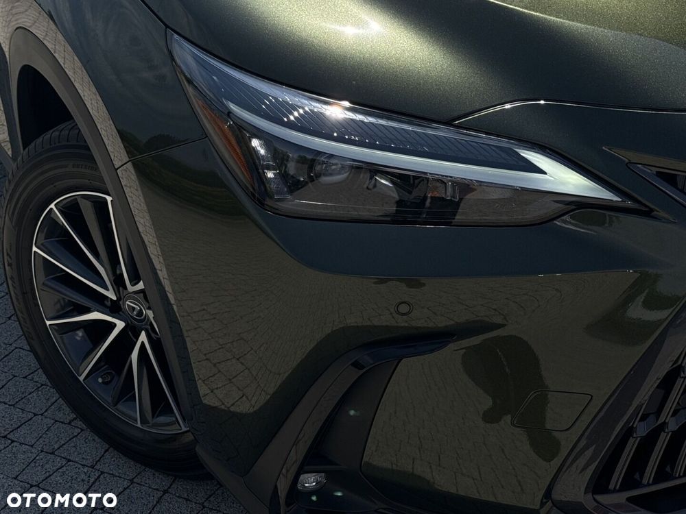 Lexus NX - 19