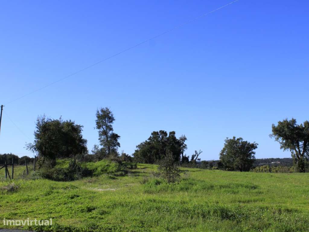 INVESTIMENTO: Herdade com Regadio e Potencial Turístico em Santiago... - Grande imagem: 5/29