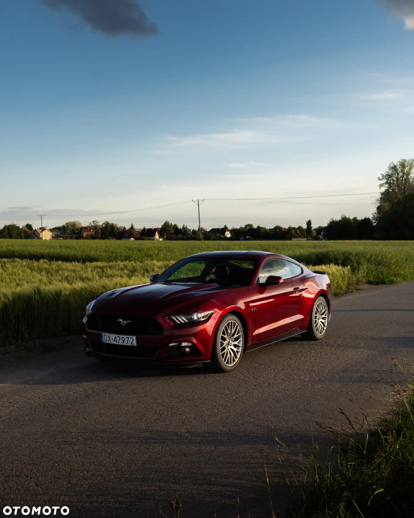 Ford Mustang 5.0 V8 GT - 28