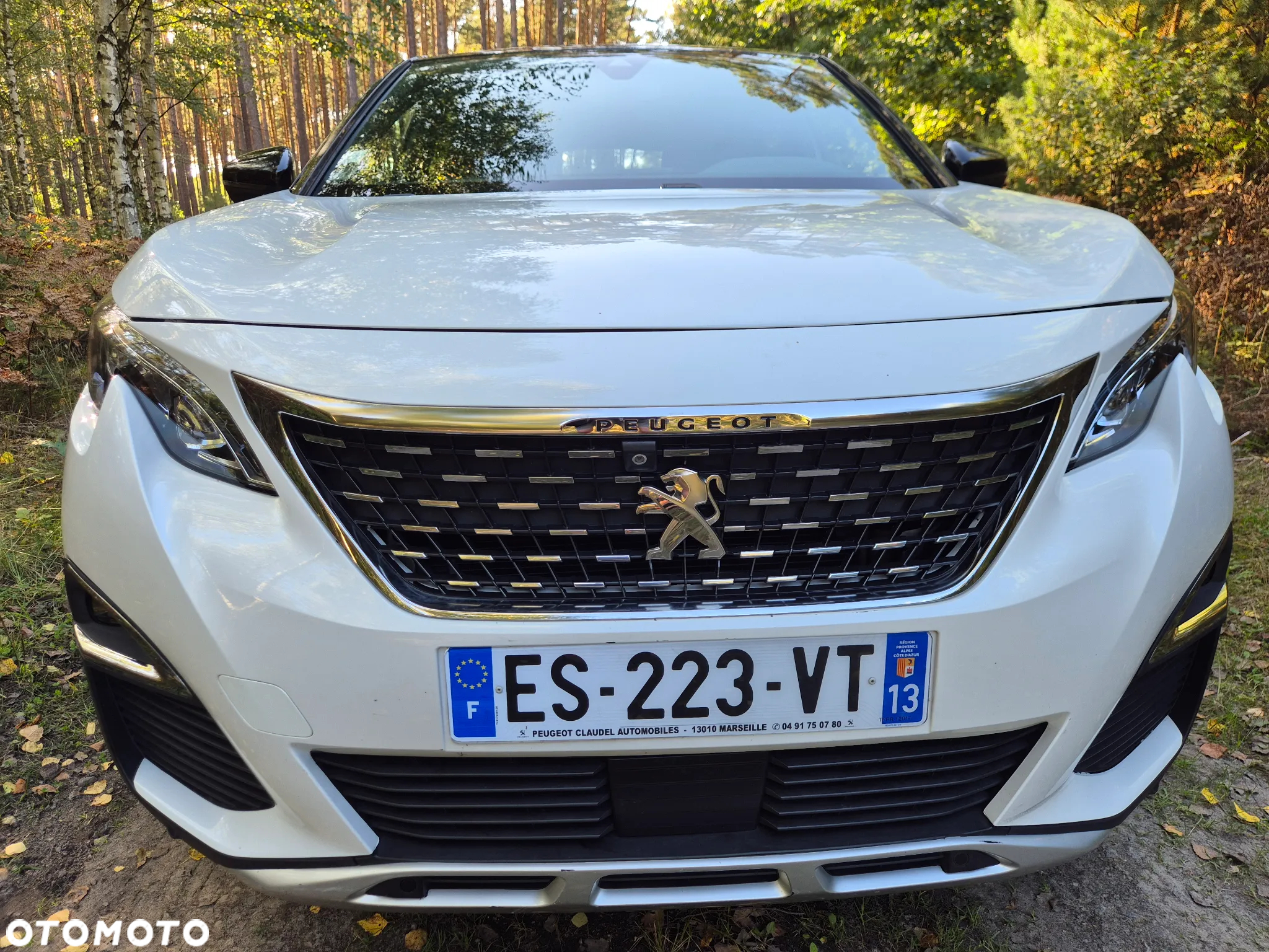 Peugeot 3008 - 12