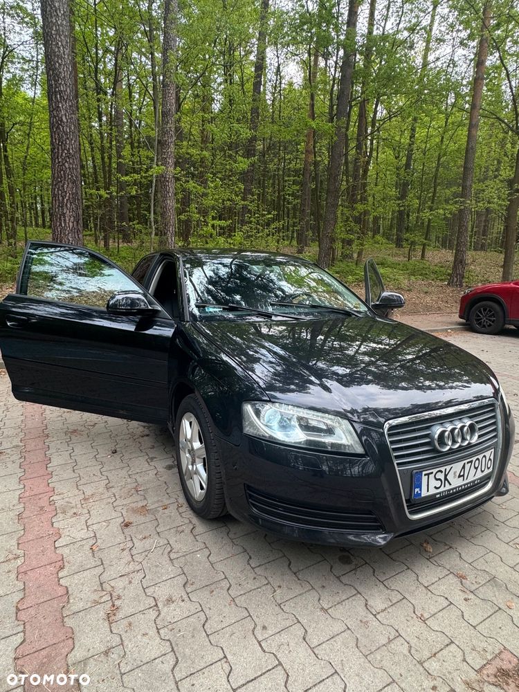 Audi A3 3-drzwiowe 1.6 TDI DPF Attraction - 16