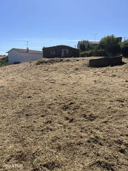 Vendo pequena quinta com ruina no centro de Mouriscas Abrantes - Grande imagem: 3/12