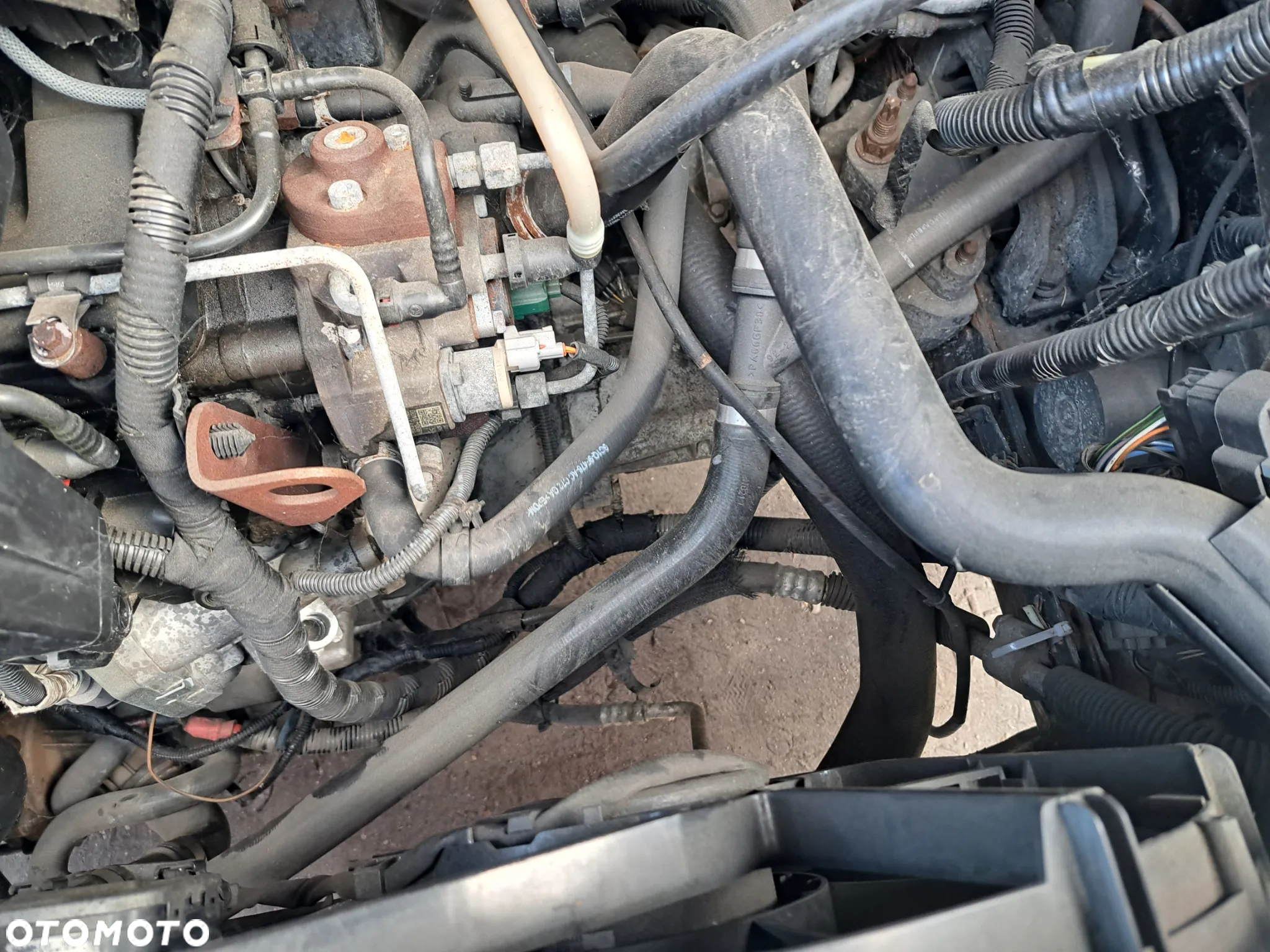 Ford Transit - 14