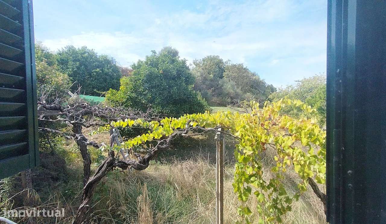 Moradia T3 à venda em Freigil e Miomães, Resende — foto 37