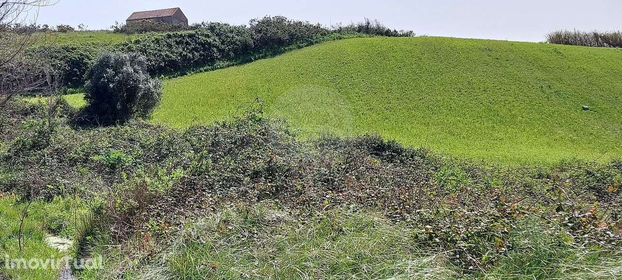 Terreno  para venda - Grande imagem: 3/7