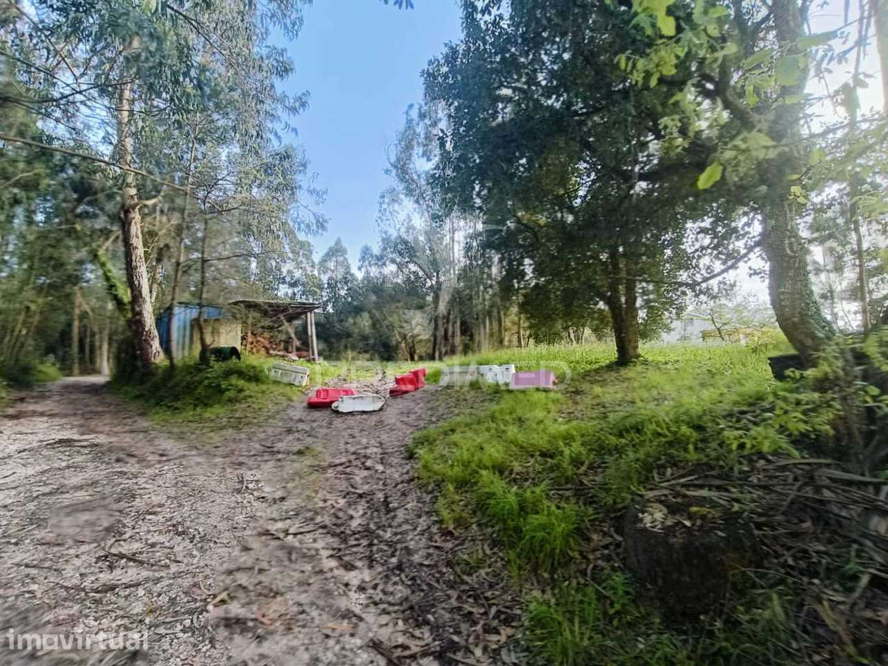 Terreno com 2850m2 para construção de uma moradia em Gondemaria - Grande imagem: 5/17
