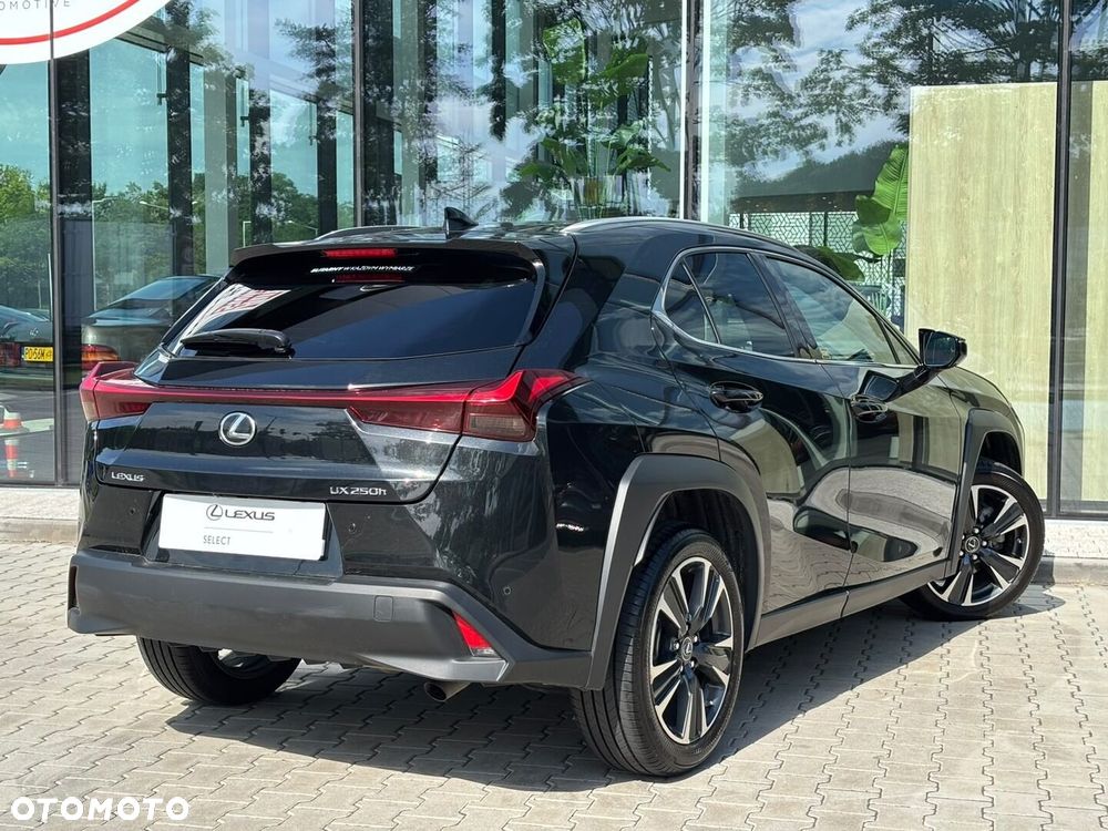 Lexus UX 250h GPF Business 2WD - 12